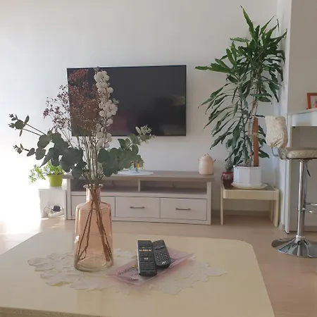 Vjeka Апартаменты *